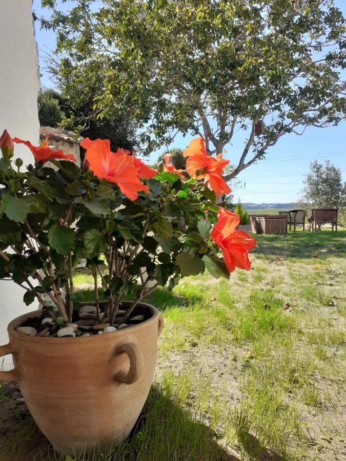 ***** Quinta Do Por Do Sol ***** Apartment Figueira da Foz Luaran gambar