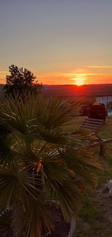 ***** Quinta Do Por Do Sol ***** Apartment Figueira da Foz Luaran gambar